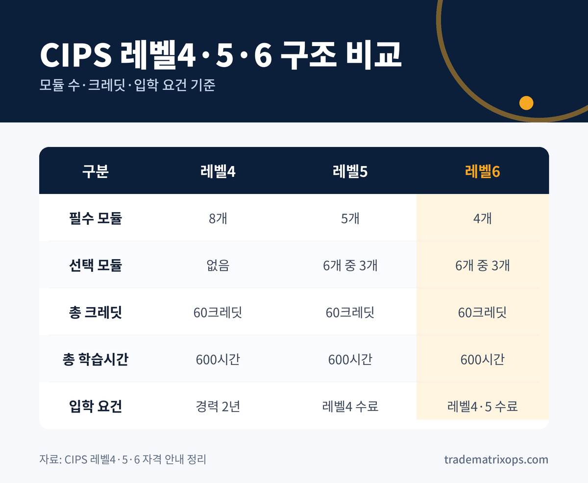 CIPS 레벨5와 레벨6, 모듈 구조로 비교하면 선택이 쉬워집니다